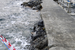 PXL_20250118_110653513.MP_